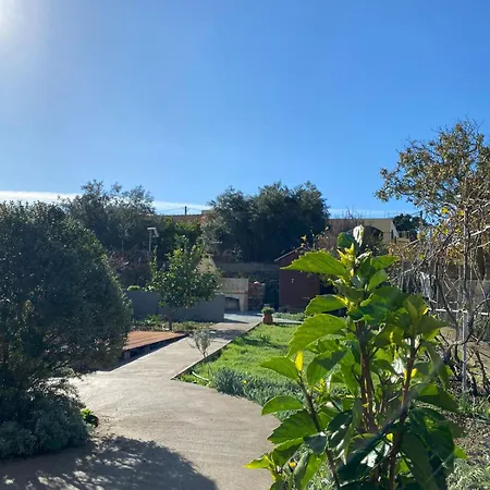 House With A Garden In The *