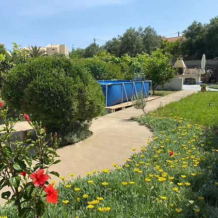 Lounge House Tatil Evi *